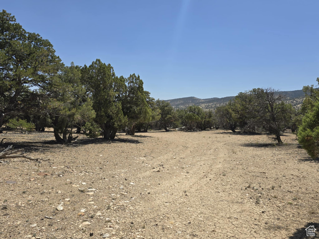 35700  STRAWBERRY RIVER RD Duchesne, UT 84021