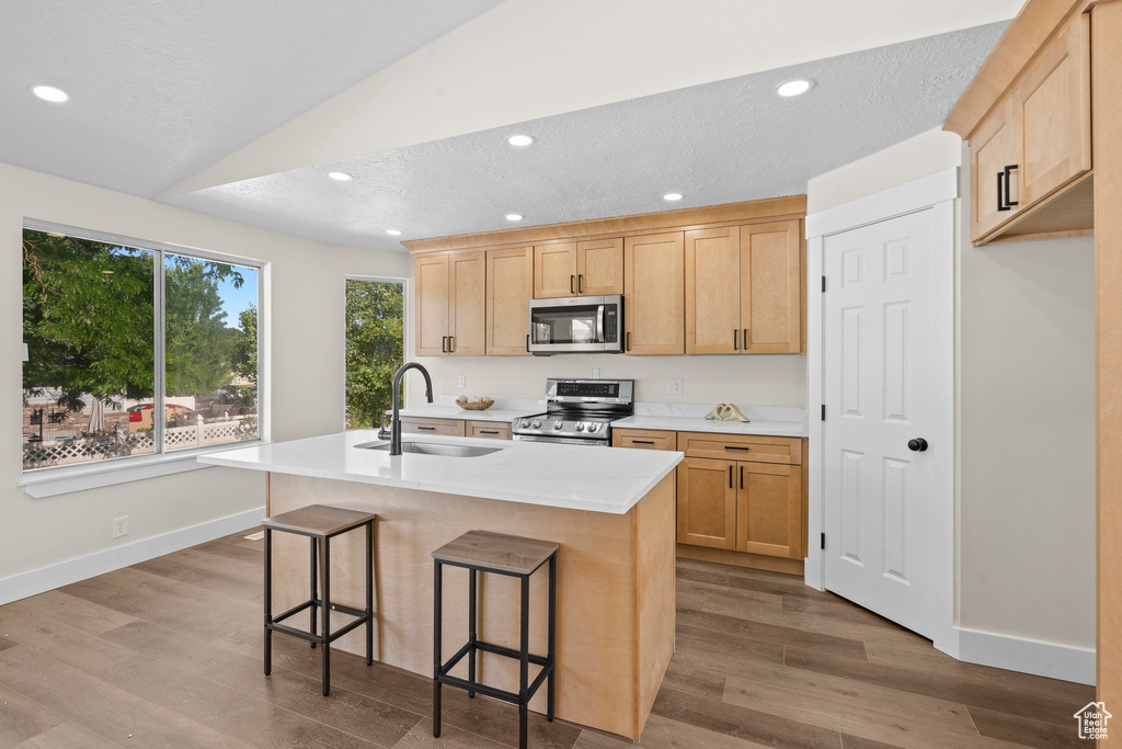 Kitchen with appliances with stainless steel finishes, a sink, light brown cabinets, wood finished floors, and lofted ceiling