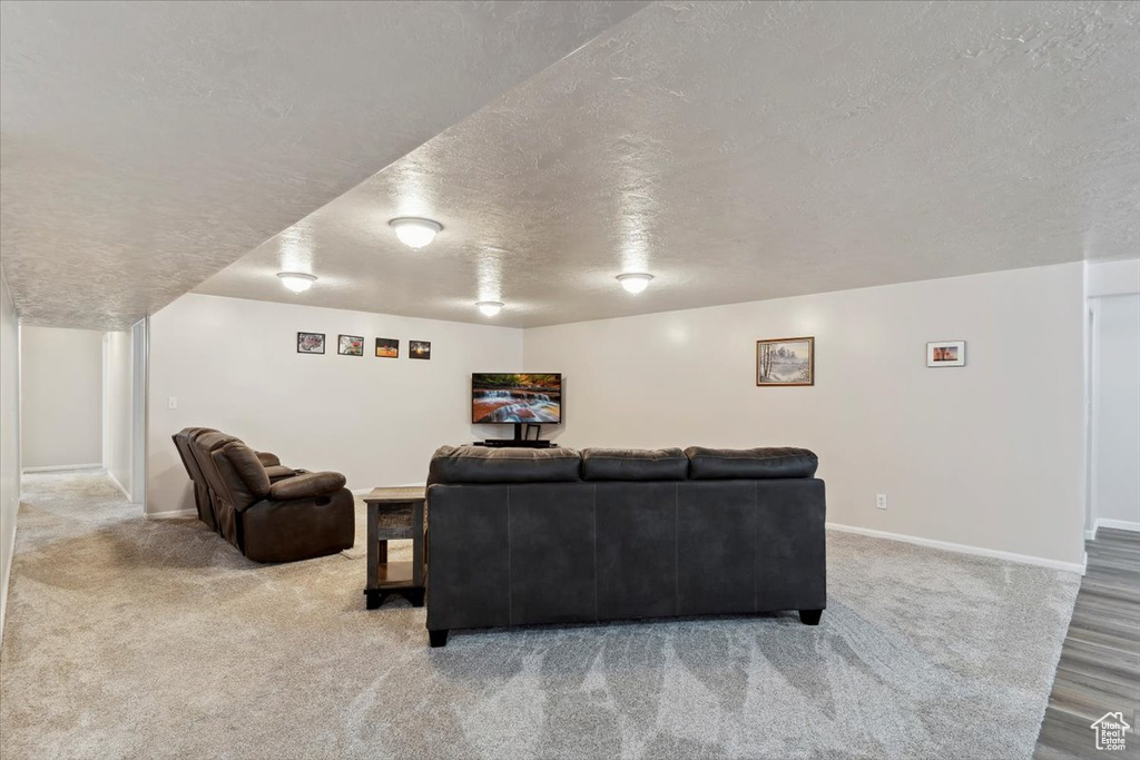 Carpeted home theater room with a textured ceiling and baseboards