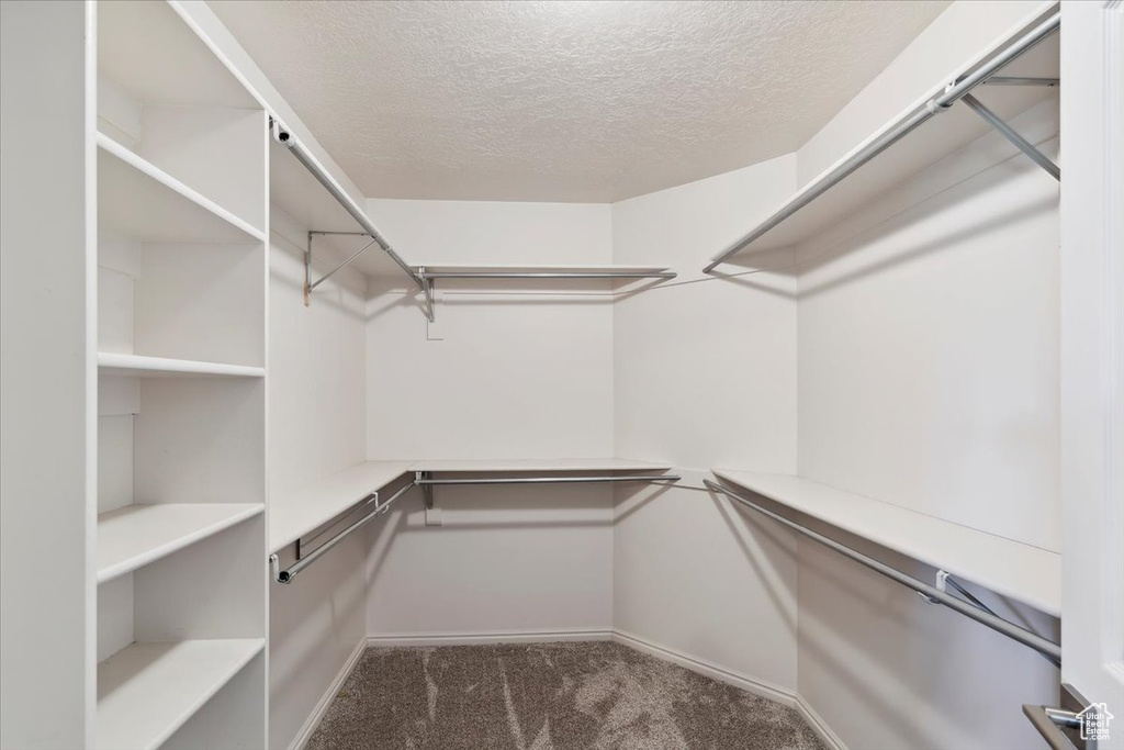 Spacious closet with carpet flooring
