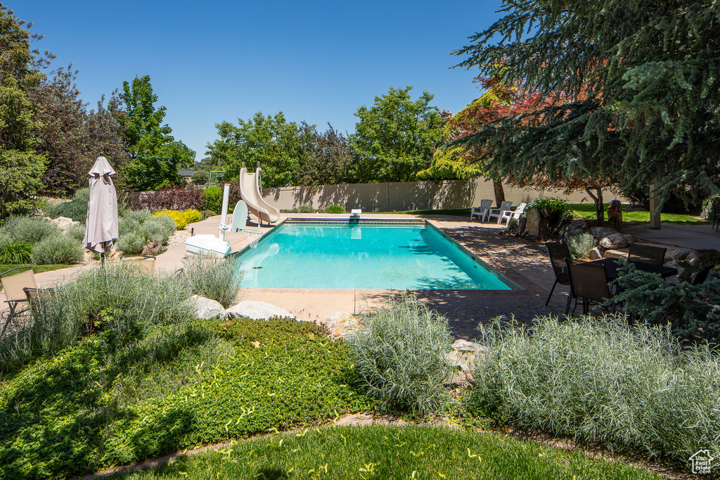 View of pool featuring a water slide, a patio, and a diving board