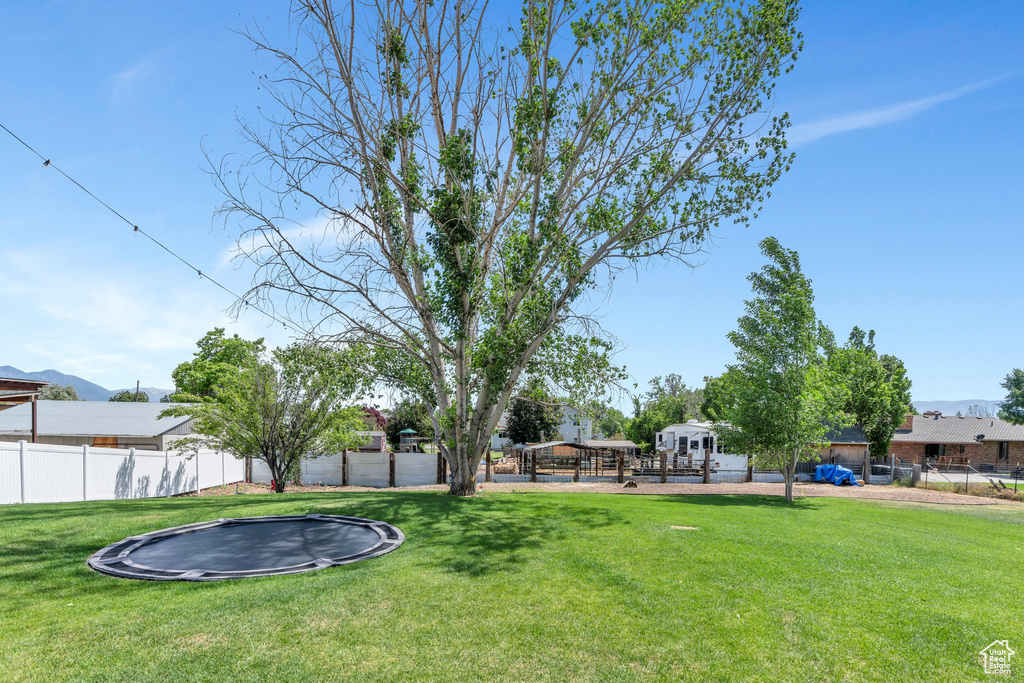 View of yard featuring a trampoline