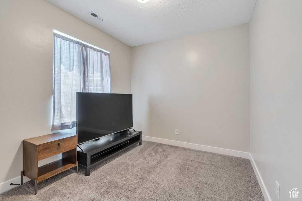 Interior space featuring carpet, baseboards, and a textured ceiling