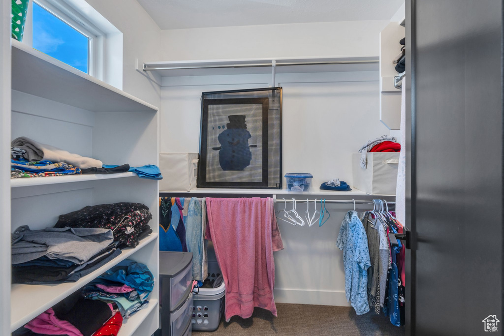 Walk in closet with carpet