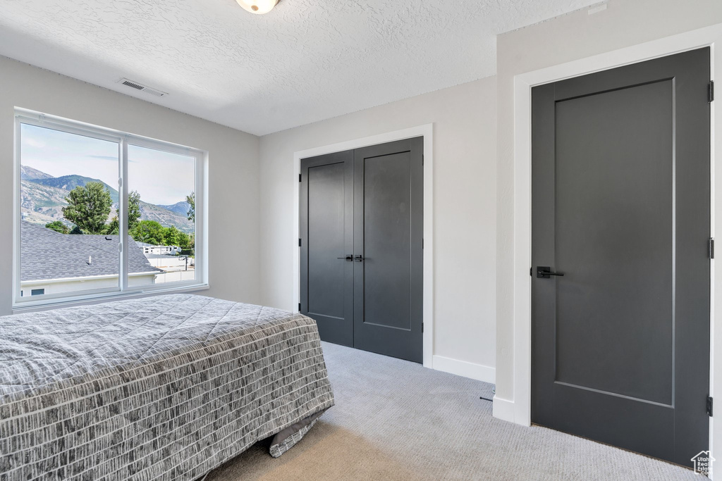 Carpeted bedroom with baseboards, a textured ceiling, a mountain view, and a closet