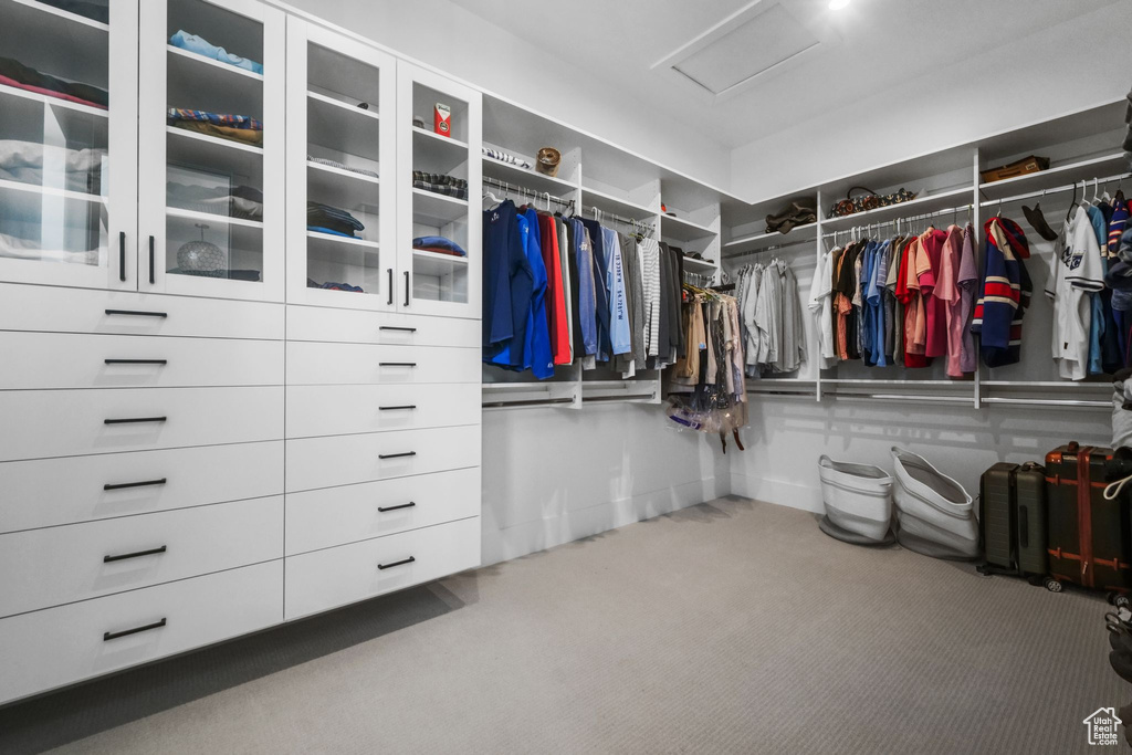 Walk in closet with attic access and carpet