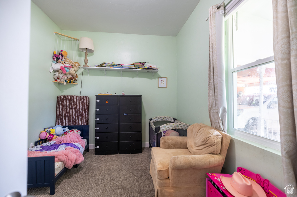 Bedroom featuring carpet
