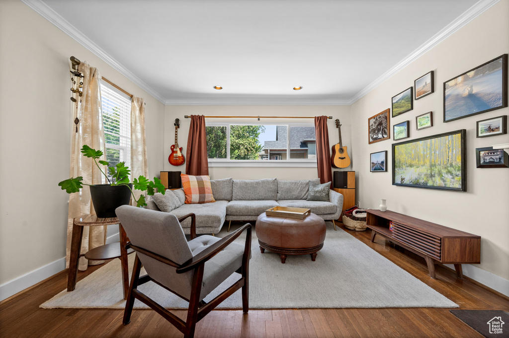 Living room featuring plenty of natural light, baseboards, dark wood-style floors, and ornamental molding