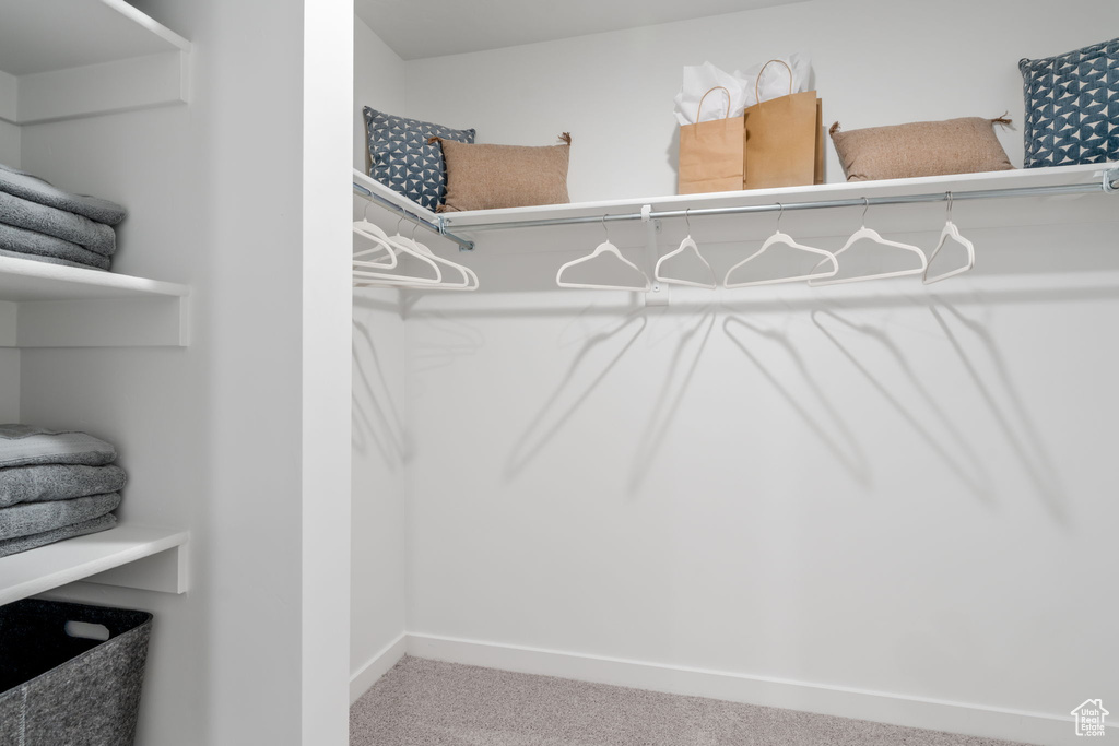 Spacious closet featuring carpet
