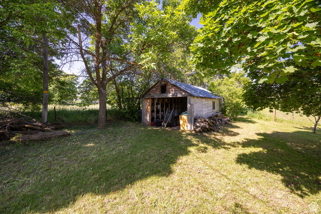 View of grassy yard