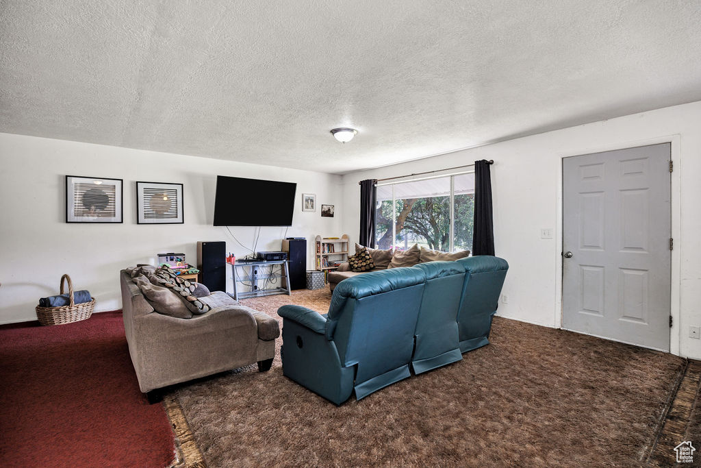 Living area with carpet flooring and a textured ceiling