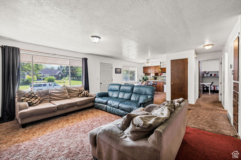 Carpeted living room featuring a textured ceiling