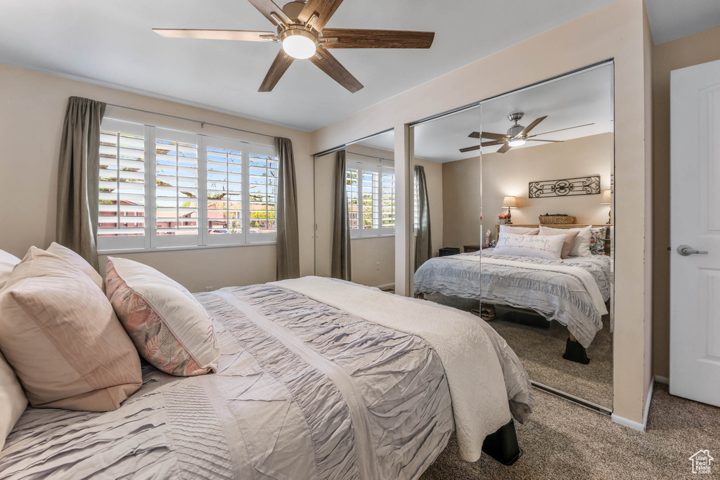 Bedroom featuring carpet floors, a ceiling fan, and multiple closets