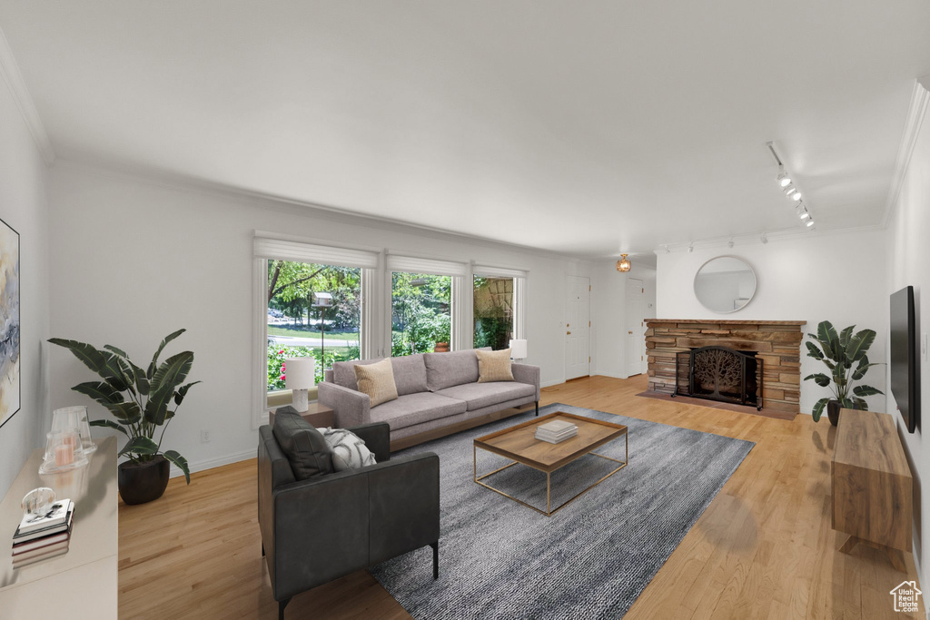 Living area featuring track lighting, wood finished floors, a fireplace, ornamental molding, and baseboards