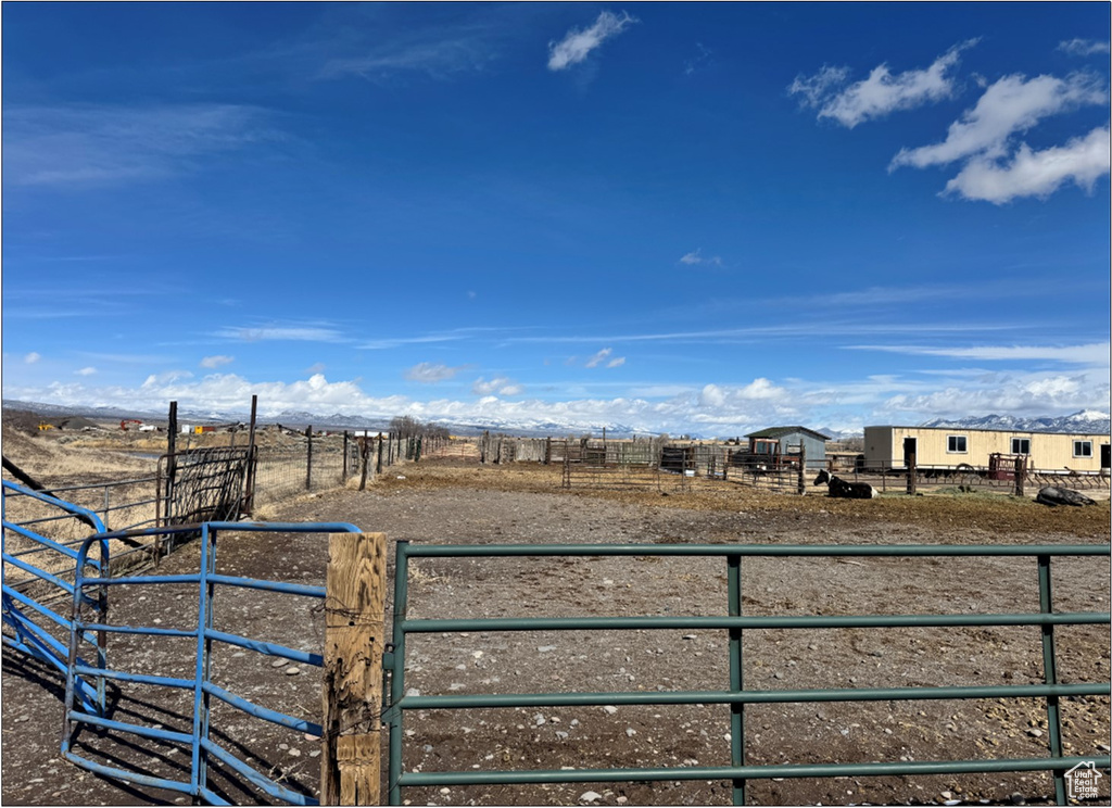 View of yard featuring a view of rural / pastoral area