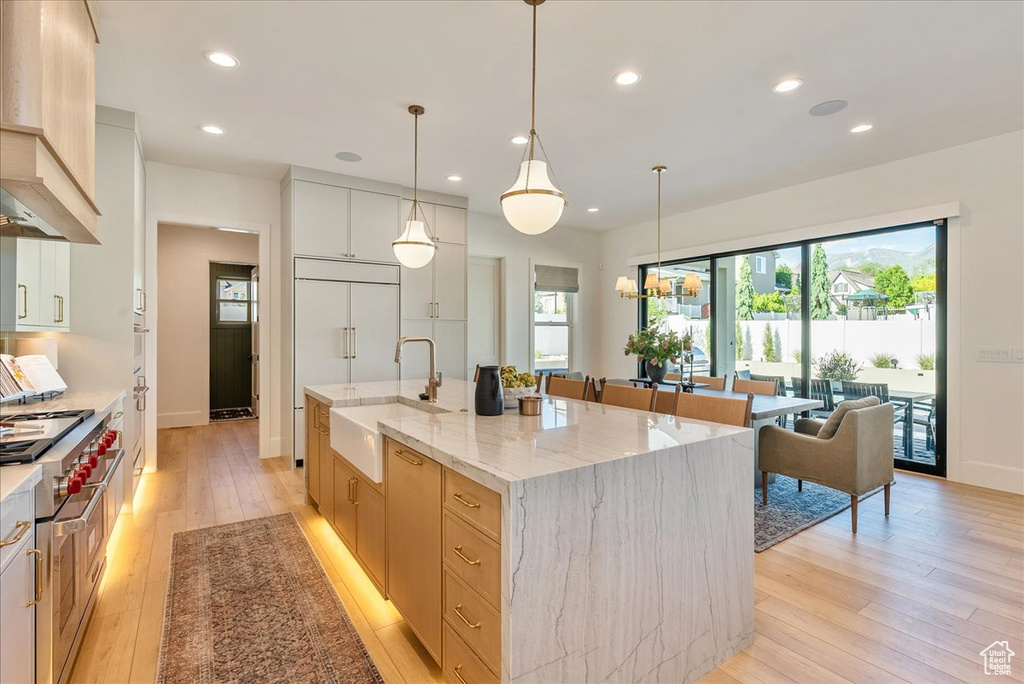 Kitchen featuring a sink, recessed lighting, plenty of natural light, light wood-style floors, and high quality appliances