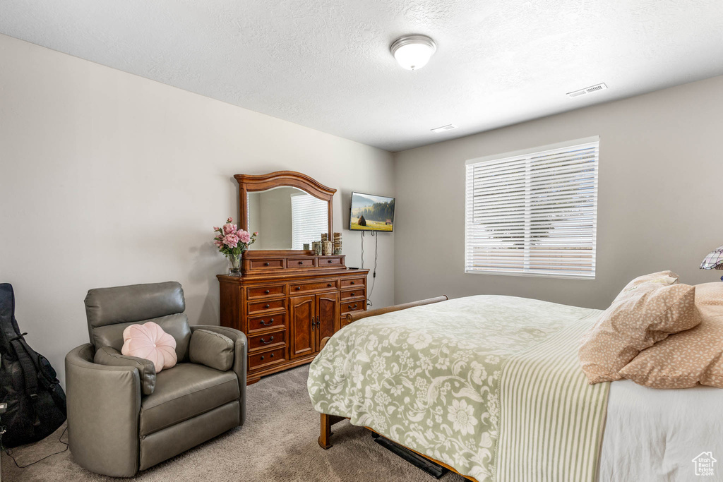 Bedroom with carpet floors