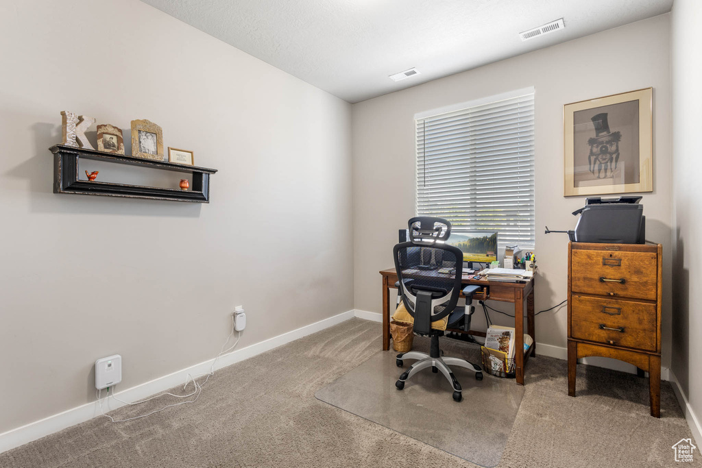 Carpeted home office with baseboards