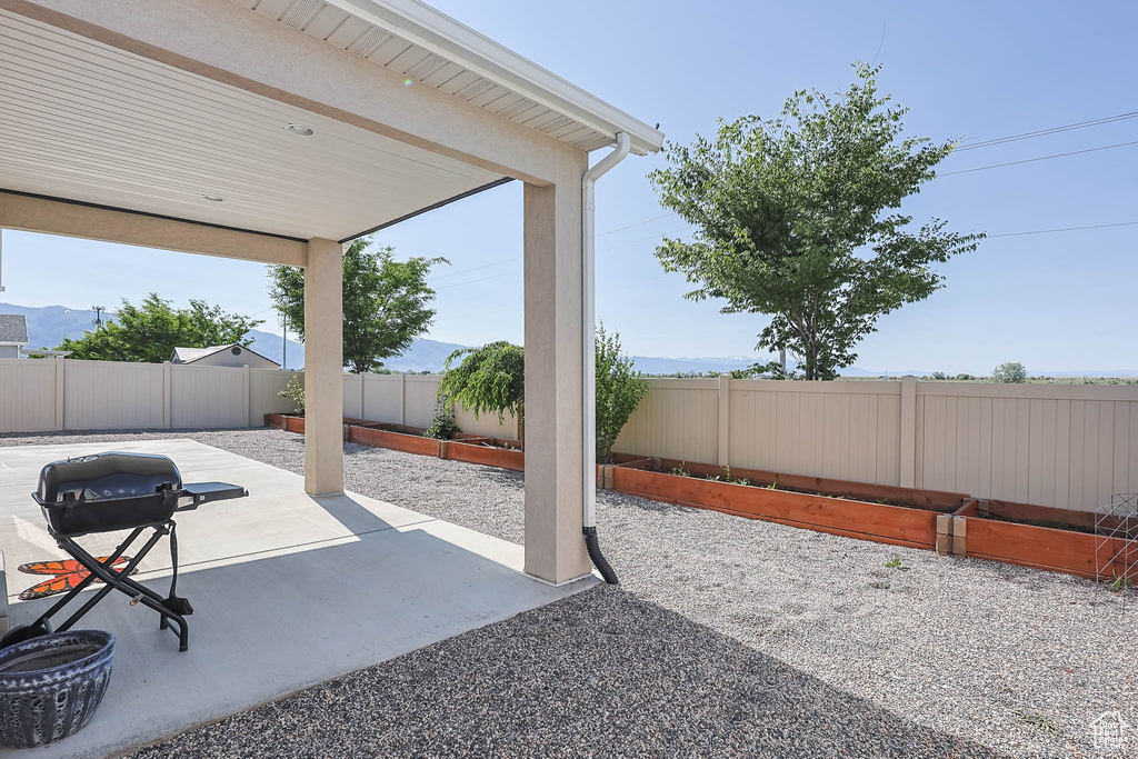 Fenced backyard with a patio area and area for grilling