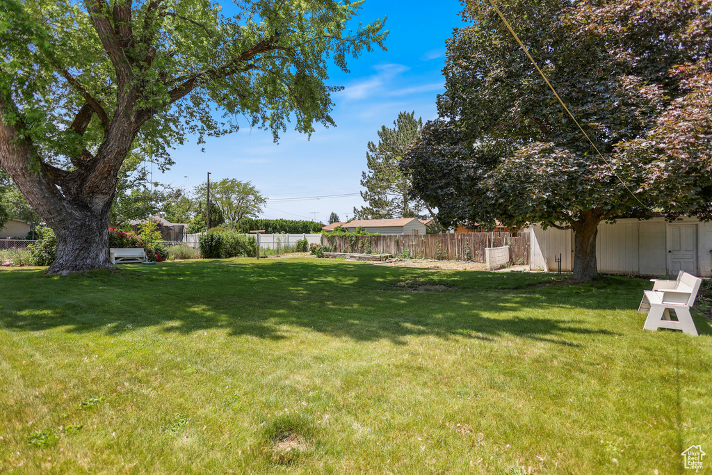 View of yard
