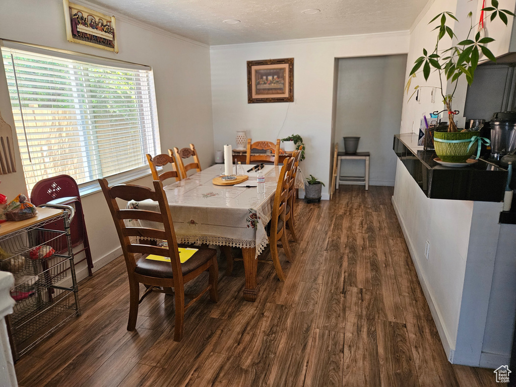 Dining area with crown molding and dark wood finished floors