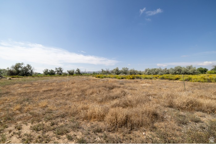 3000 S 1500 E Naples, UT 84078