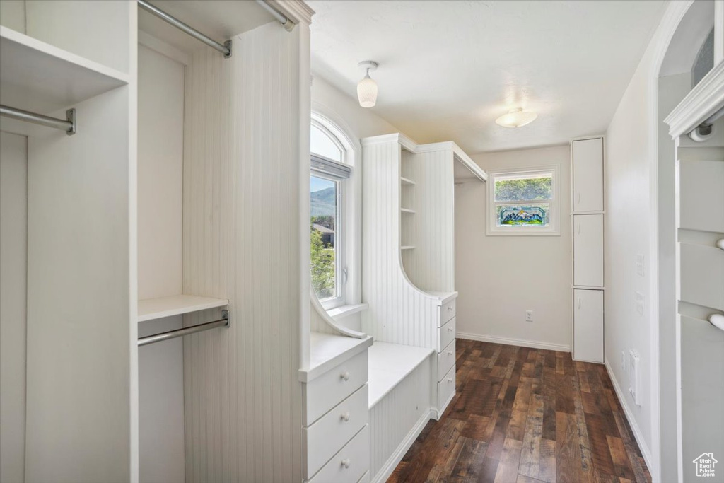 Spacious closet featuring dark wood finished floors