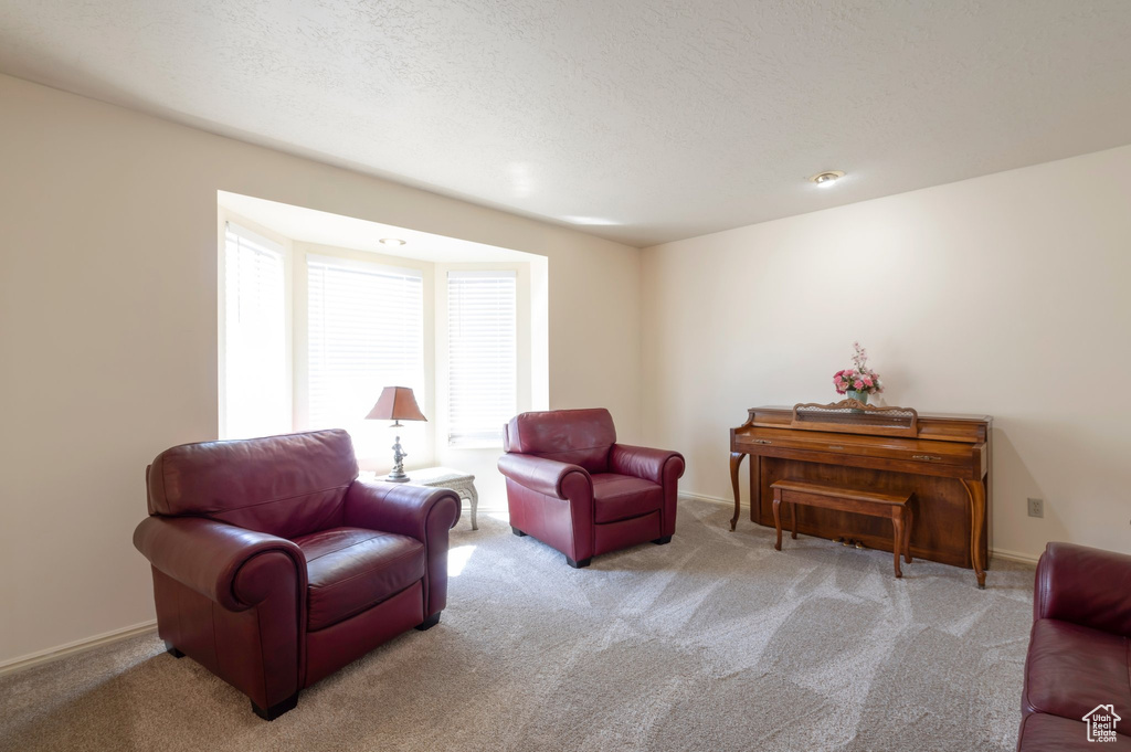 Sitting room with carpet and baseboards