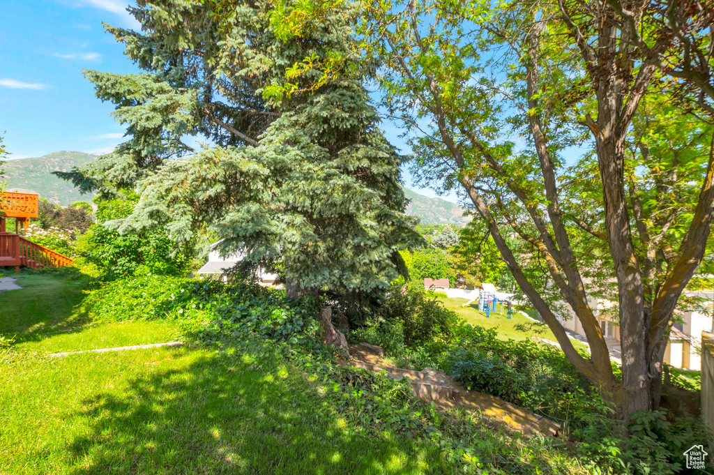 View of grassy yard featuring a mountain view