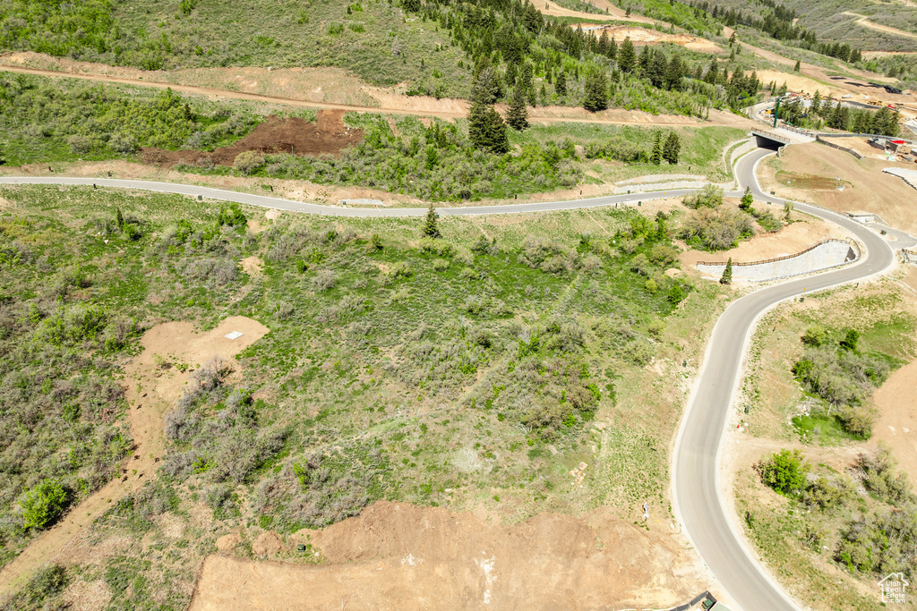 Bird\'s eye view
