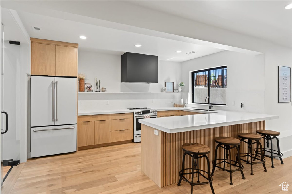 Kitchen with high quality appliances, a sink, light brown cabinets, a peninsula, and light wood-type flooring