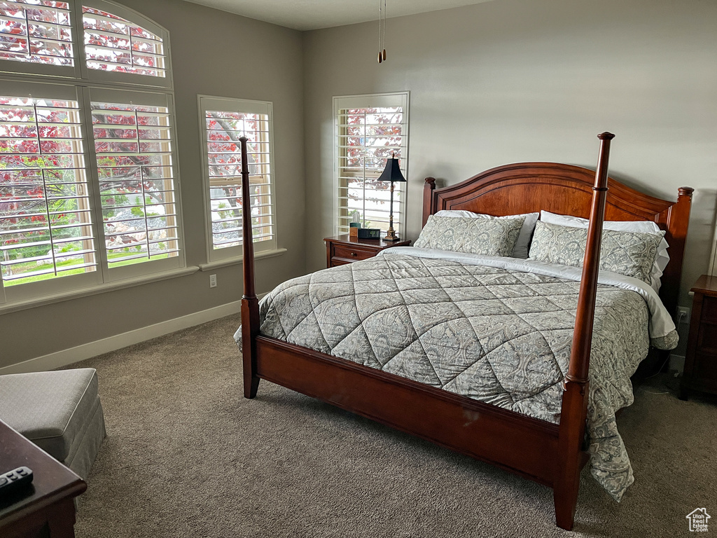 Bedroom with carpet floors and baseboards