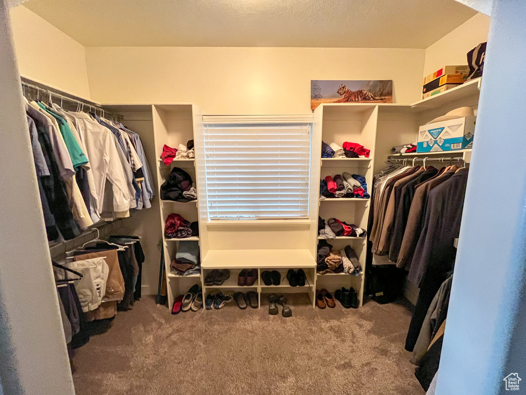 Walk in closet featuring carpet floors