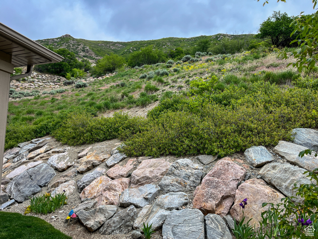 View of yard with a mountain view
