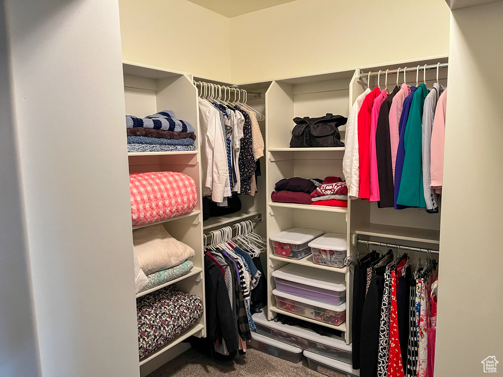 Spacious closet with carpet floors