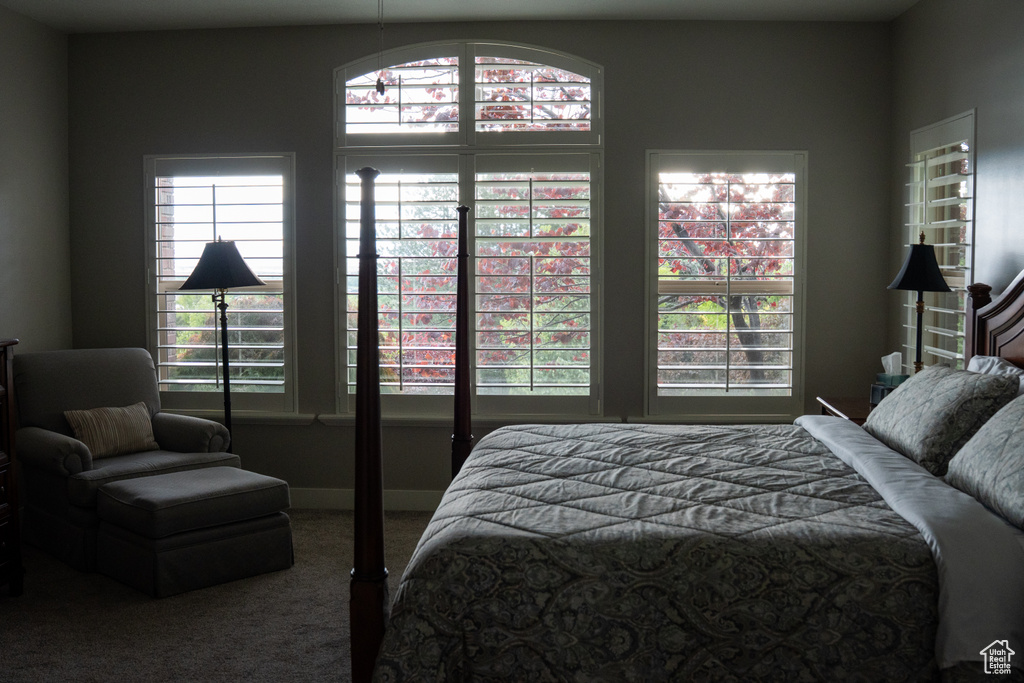 Bedroom with carpet flooring