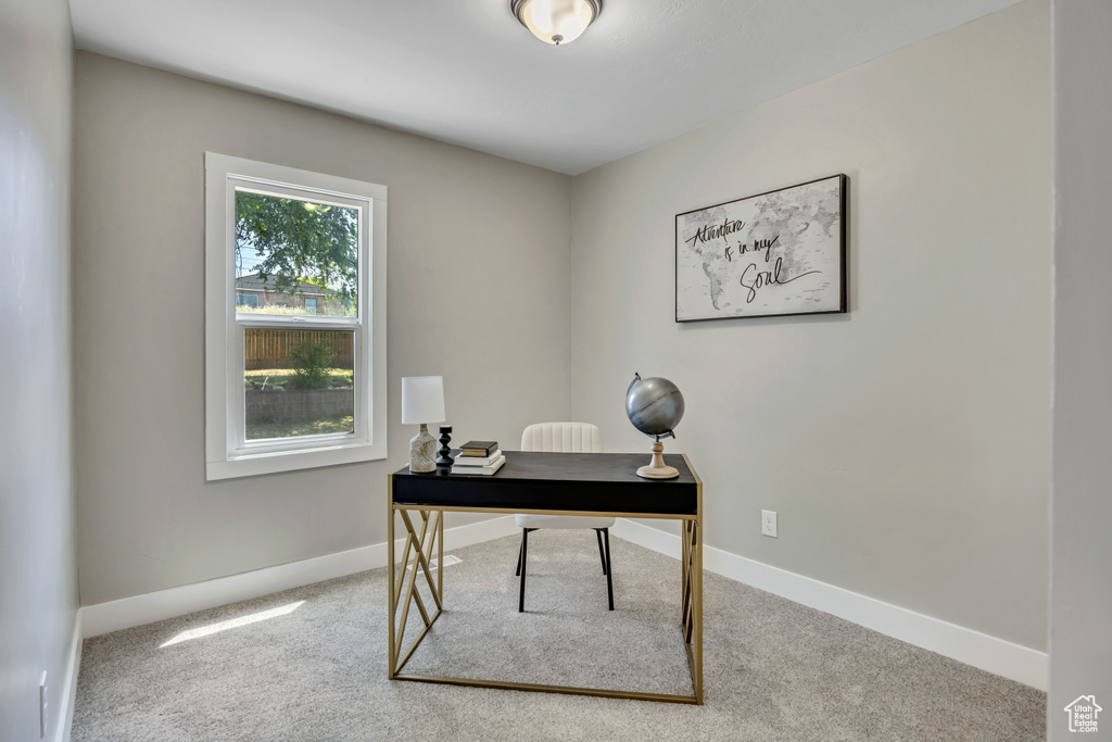 Office area with carpet floors and baseboards
