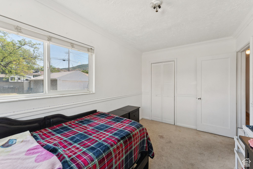 Bedroom with crown molding, light colored carpet, a textured ceiling, and a closet