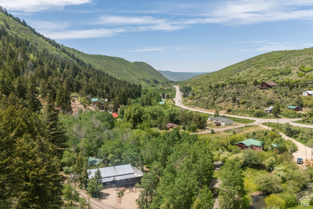 View of mountain background with a heavily wooded area