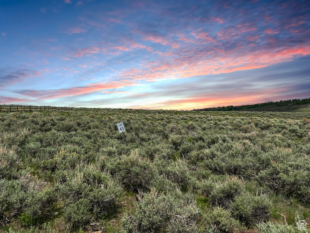 View of undeveloped land