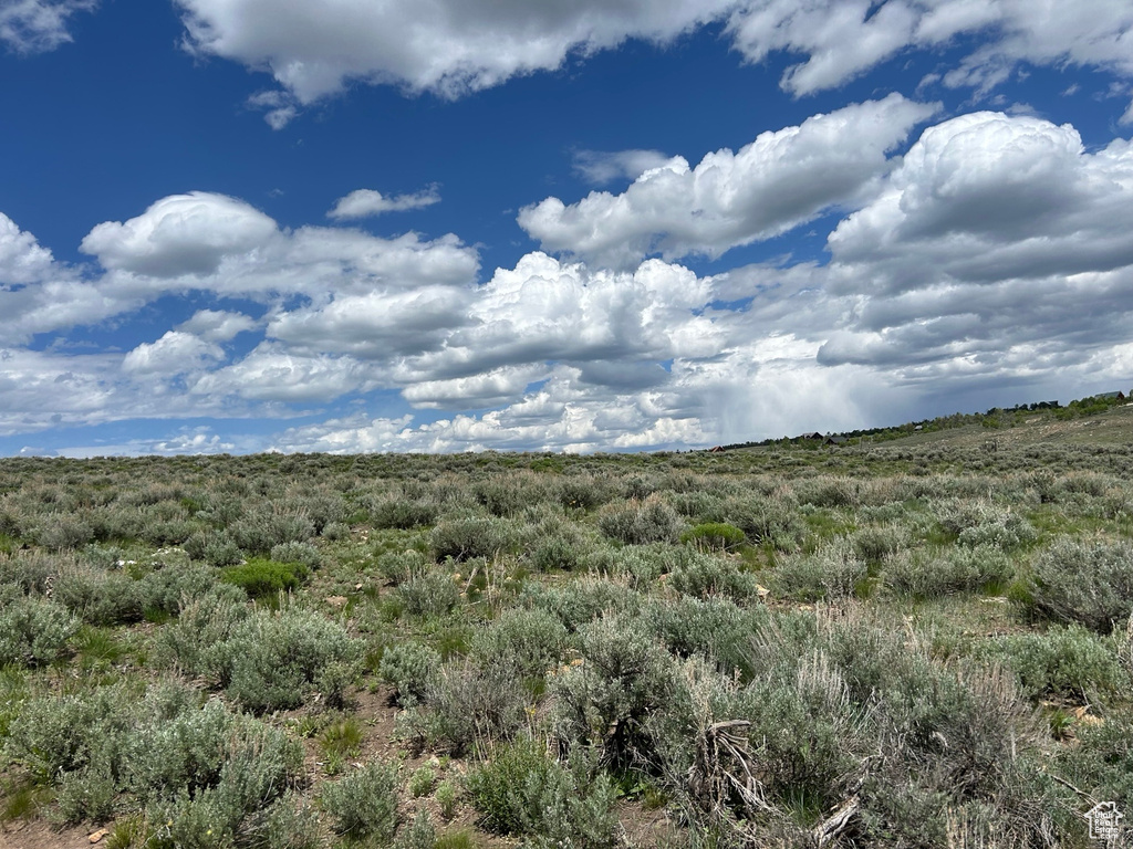 View of nature