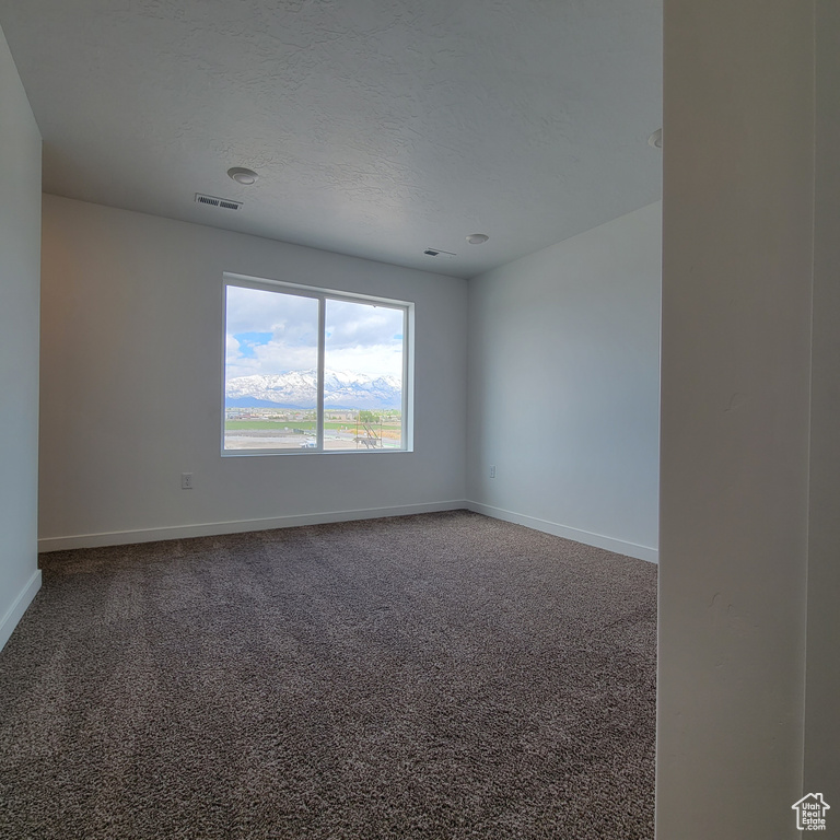 Carpeted spare room with baseboards and a textured ceiling