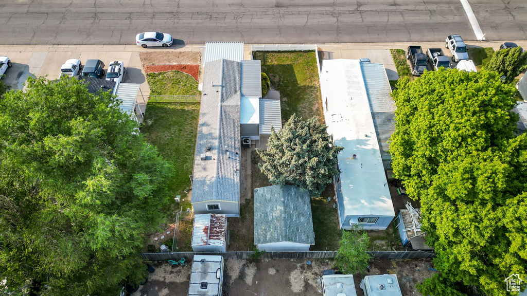 Bird\'s eye view