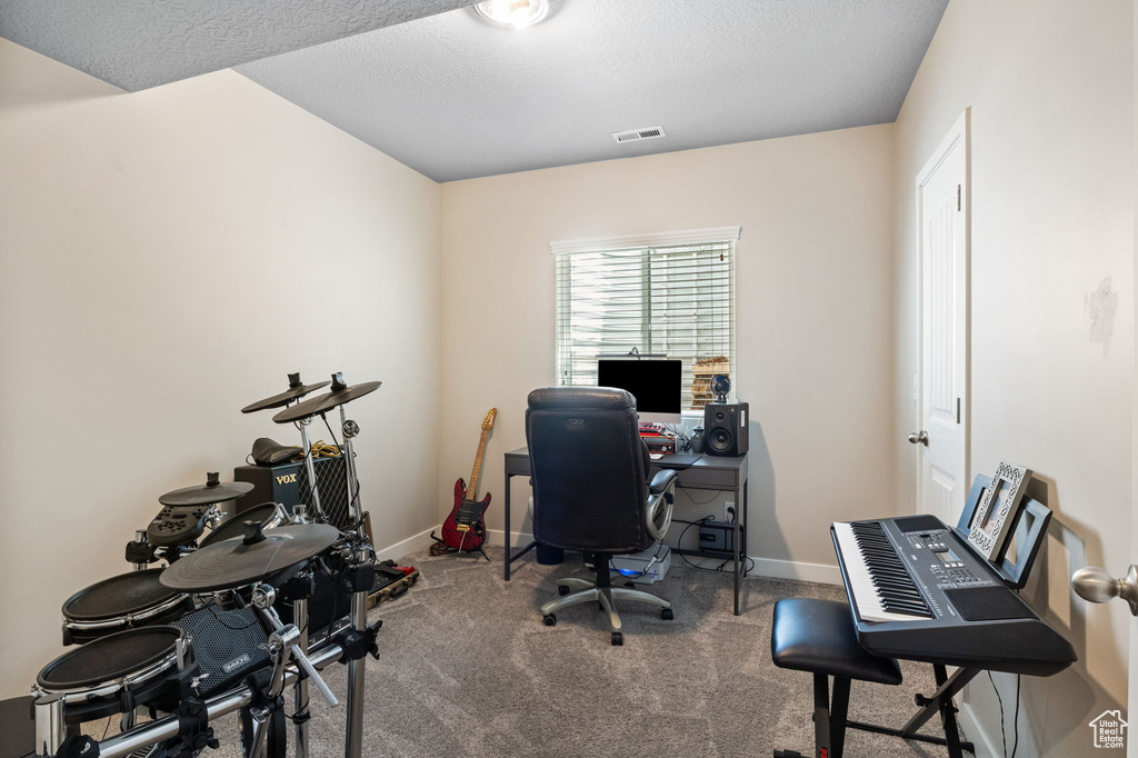 Office featuring baseboards, carpet flooring, and a textured ceiling