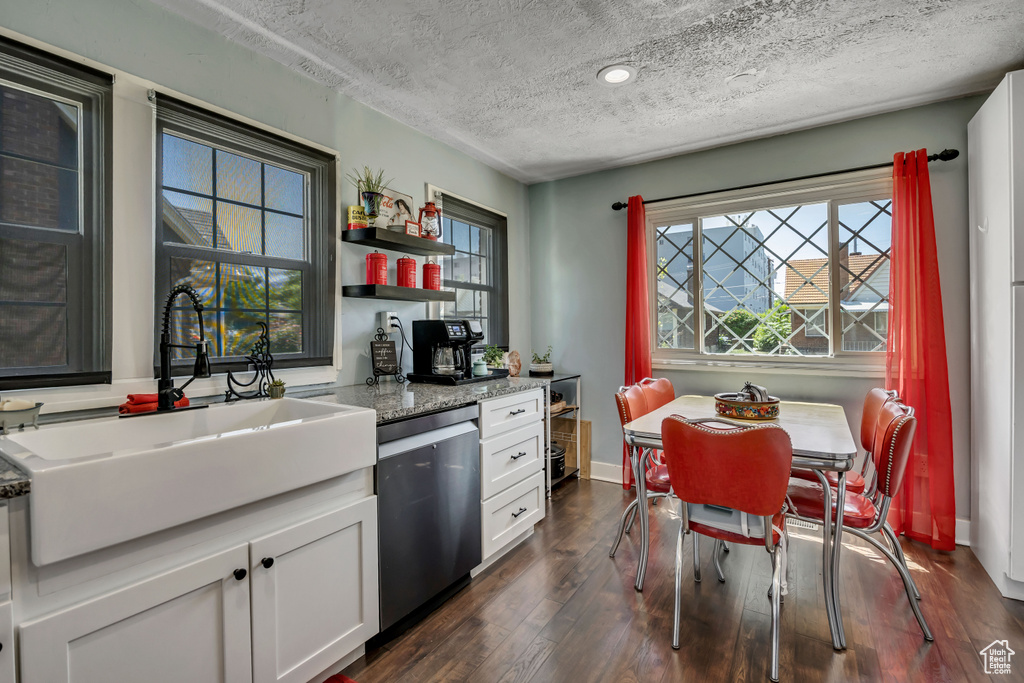 Kitchen with dishwasher, a sink, plenty of natural light, a textured ceiling, and dark wood-style floors