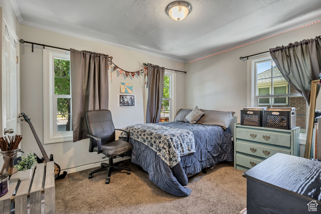 Bedroom with carpet flooring, multiple windows, crown molding, and baseboards