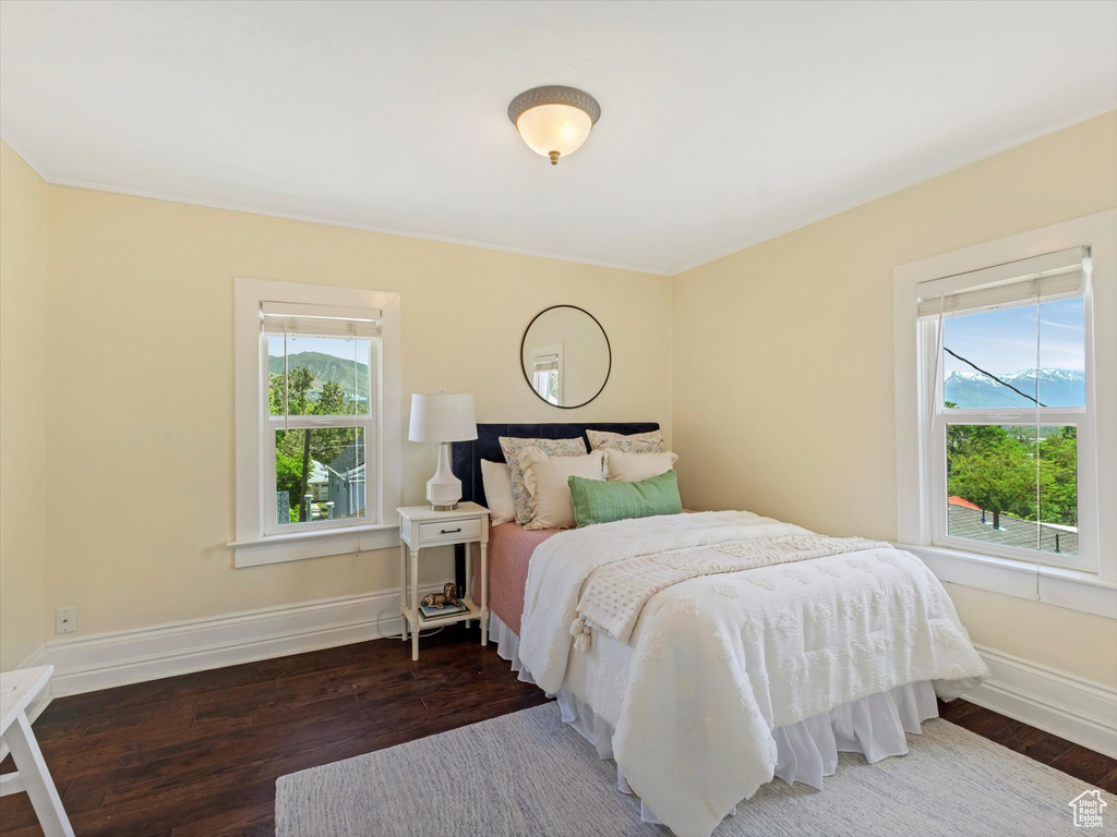 Bedroom featuring multiple windows, wood finished floors, and baseboards