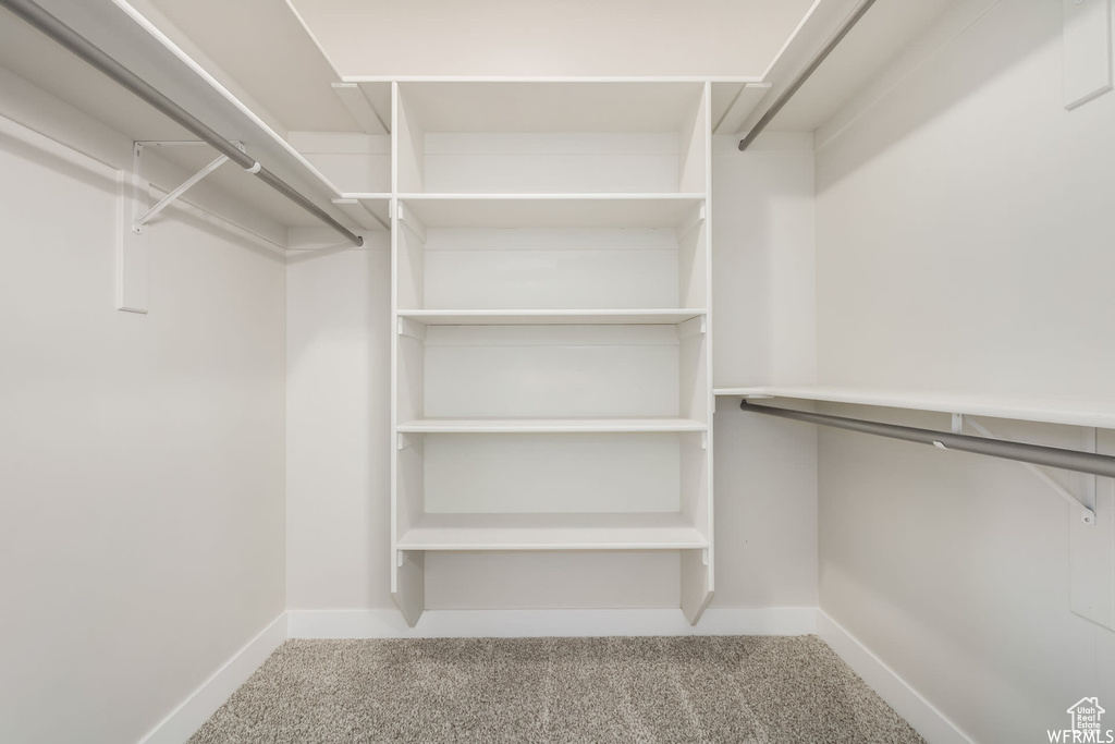 Spacious closet featuring carpet floors