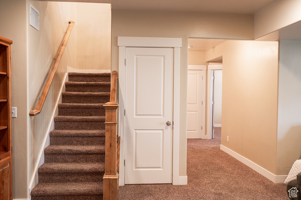 Stairway with carpet flooring and baseboards