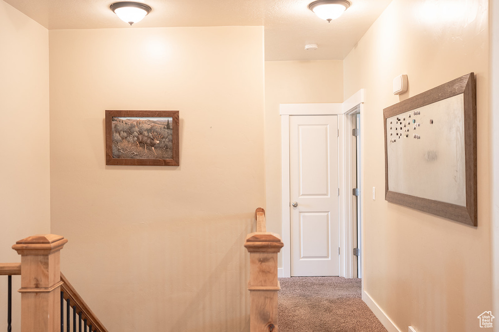 Hall with carpet and baseboards